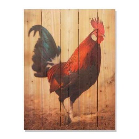 RICKI&APOSS RUGS 28 x 36 in. Colorful Rooster Inside & Outside Cedar Wall Art RI896456